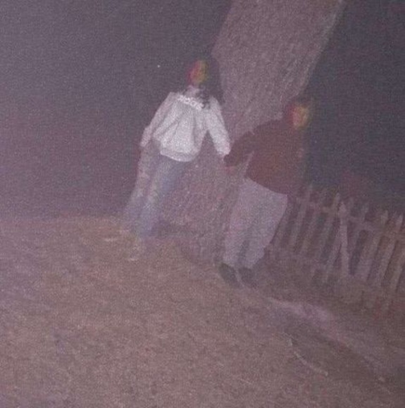 Meet your Posher, Brennan - Picture 1 of 1